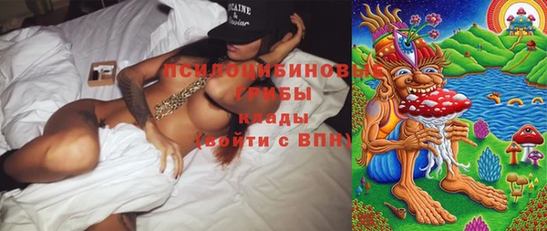 гидропоника Алексеевка